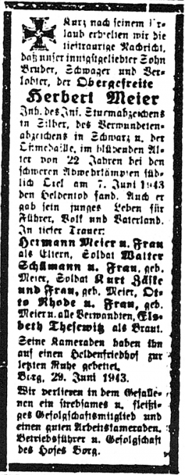 Meier-Herbert
